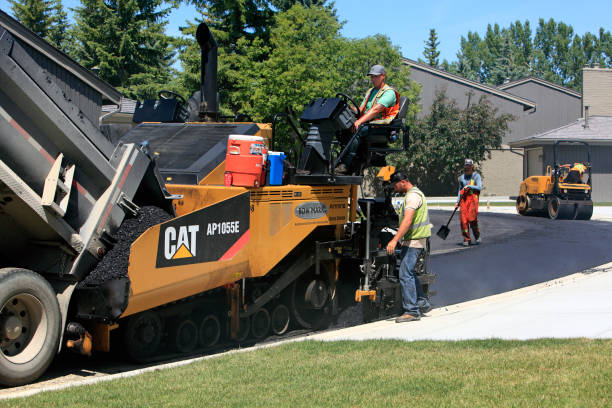 Best Best Driveway Pavers  in Holly Hill, FL